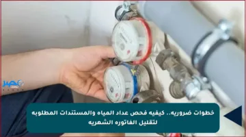 خطوات ضرورية.. كيفية فحص عداد المياه والمستندات المطلوبة لتقليل الفاتورة الشهرية